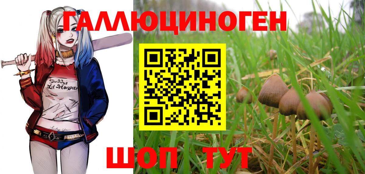 Красноуфимск  где купить наркоту  Вход с VPN  Псилоцибиновые грибы ЛСД 
